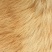 狗粮猫粮宠物食品生产厂家诚信经营保证质量全国招商一件代发