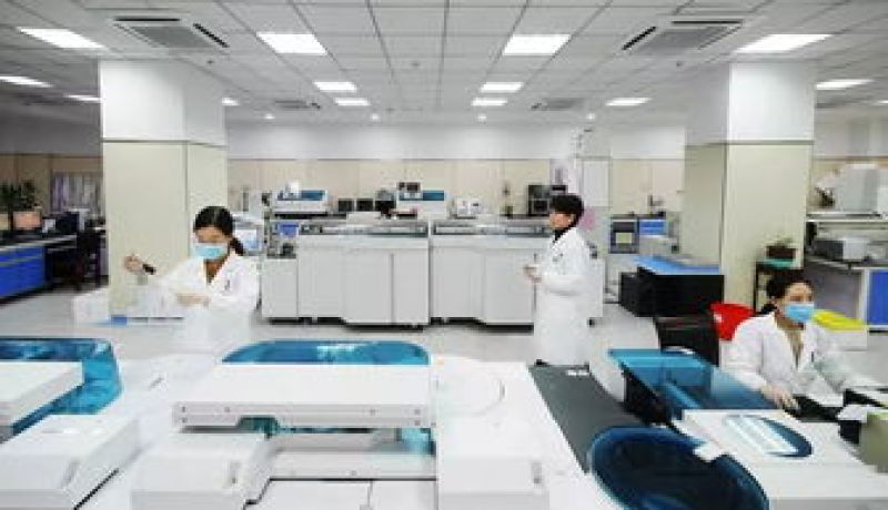 狗粮猫粮宠物食品生产厂家诚信经营保证质量全国招商一件代发