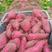 【一件代发】红薯海南板栗红薯产地直发可视频看货包邮