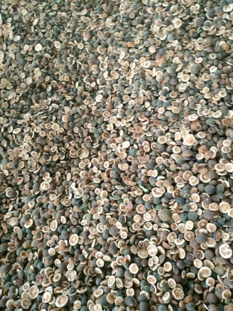 枳壳大量供应可开票