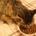狗粮猫粮宠物食品生产厂家诚信经营保证质量全国招商一件代发