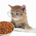 狗粮猫粮宠物食品生产厂家诚信经营保证质量全国招商一件代发