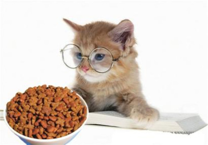 狗粮猫粮宠物食品生产厂家诚信经营保证质量全国招商一件代发