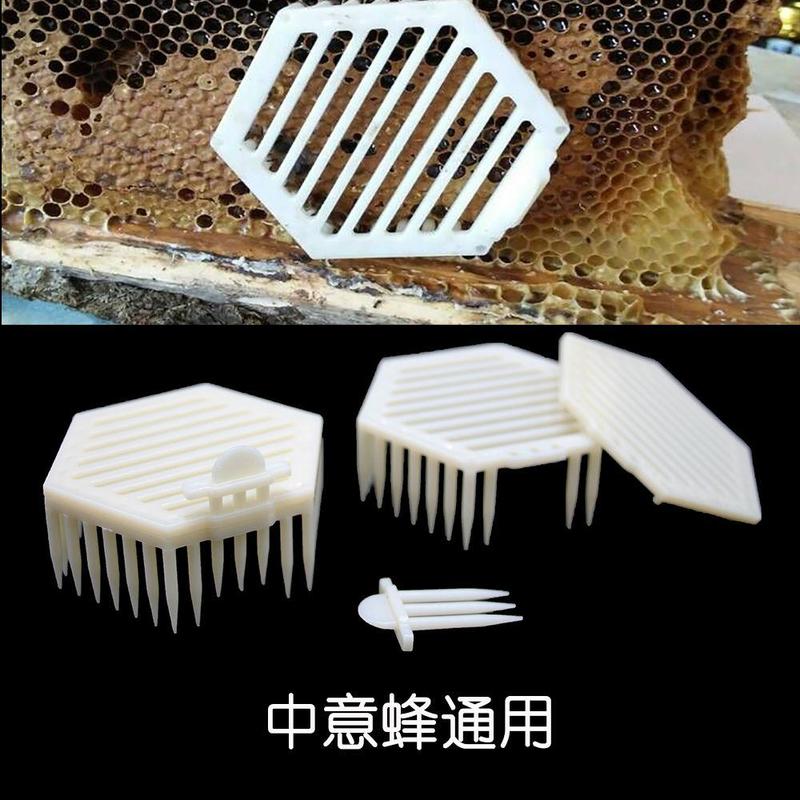 蜜蜂六角针式囚王介王笼锁蜂王笼关王龙塑料中蜂专用养蜂意蜂
