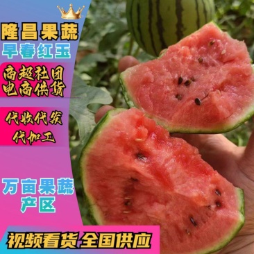 小糖丸西瓜小吊瓜手撕瓜,礼品小糖丸西瓜商超电商供货