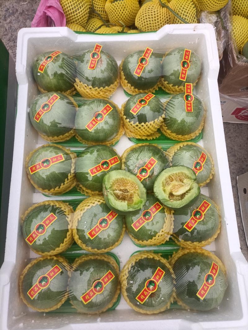 绿宝甜瓜，质量保证，对接商超市场，看棚订货，实力代收