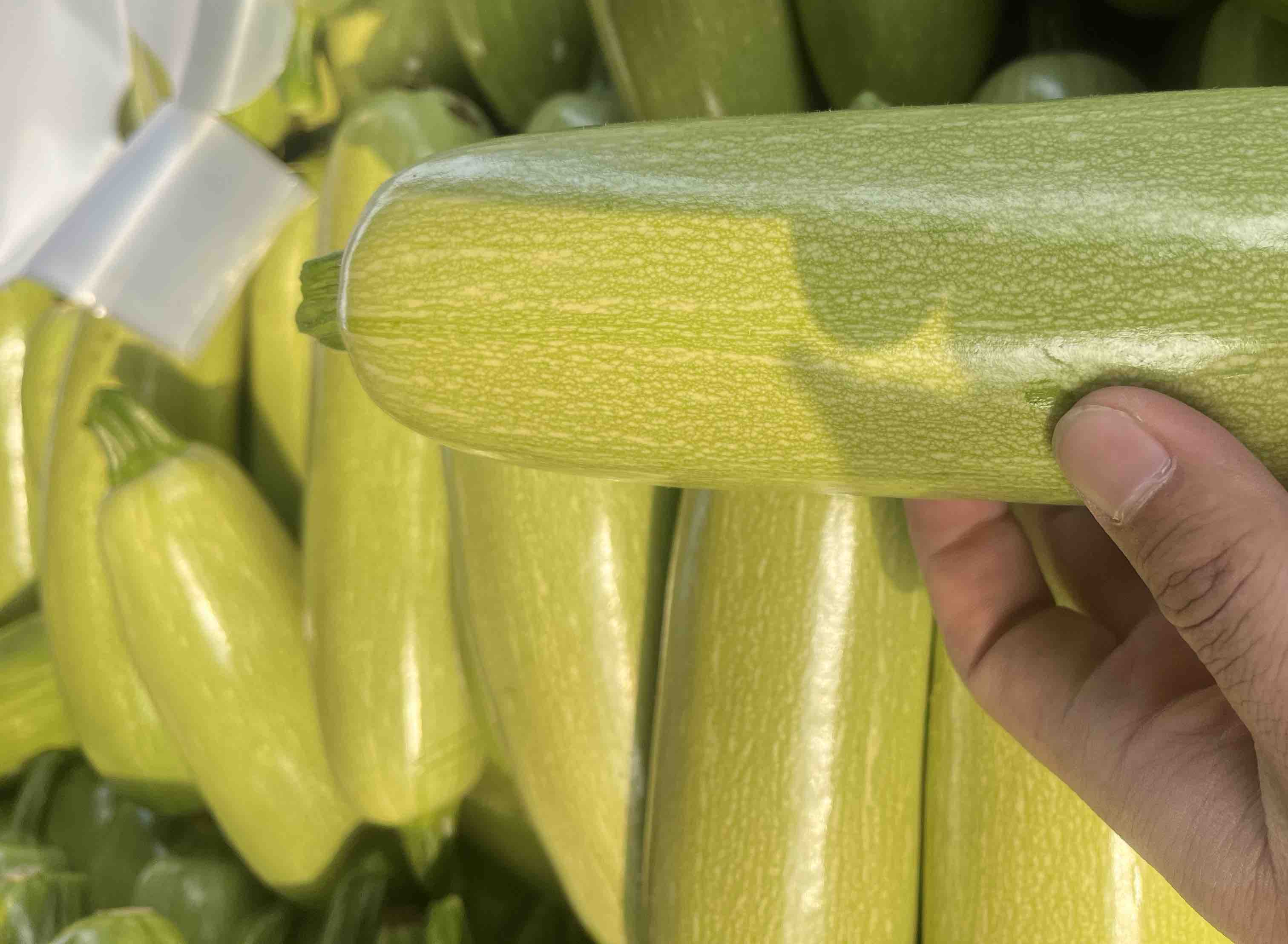 西葫芦切片生食与炒制对比图