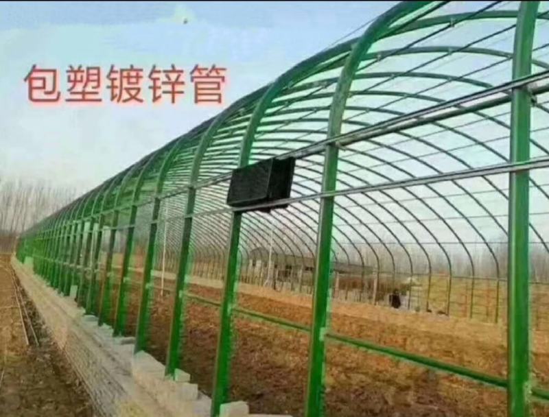 镀锌大棚钢管各种养殖棚种植棚简易棚规格齐全支持定制