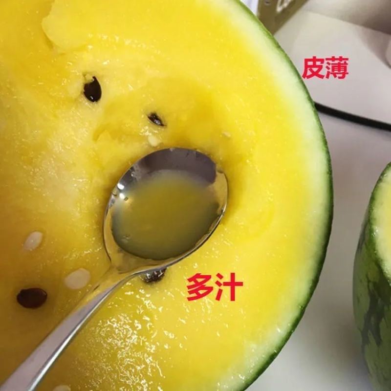 江苏特小凤西瓜对接商超批发商产地直销全国代发量大从优