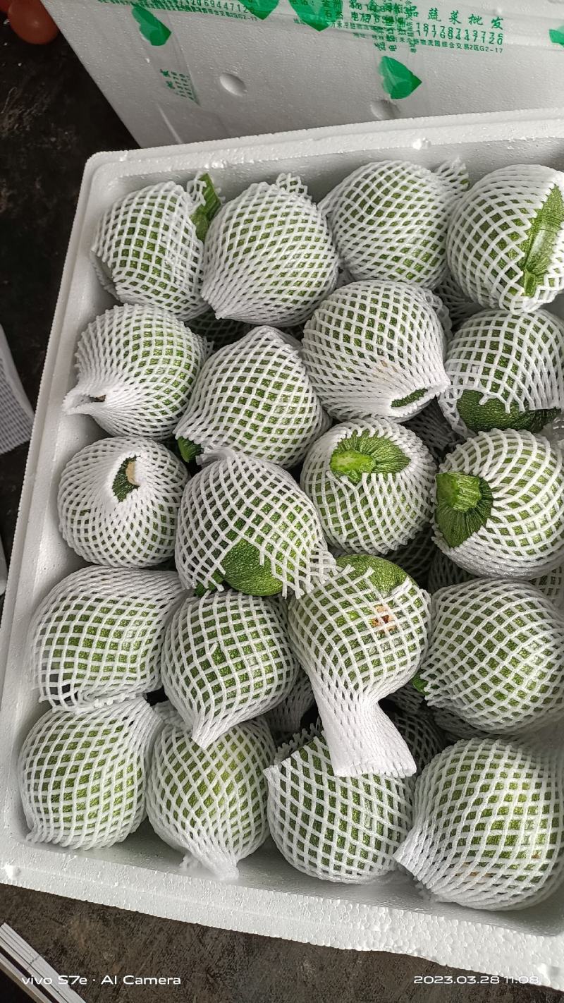 精品鲜嫩小南瓜大量上市中可整车拼车欢迎新老客户咨询