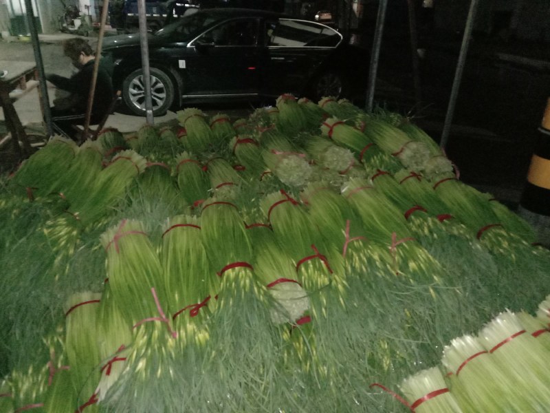 丰县白帽蒜苔大量上货，价格低，质量好，费用低