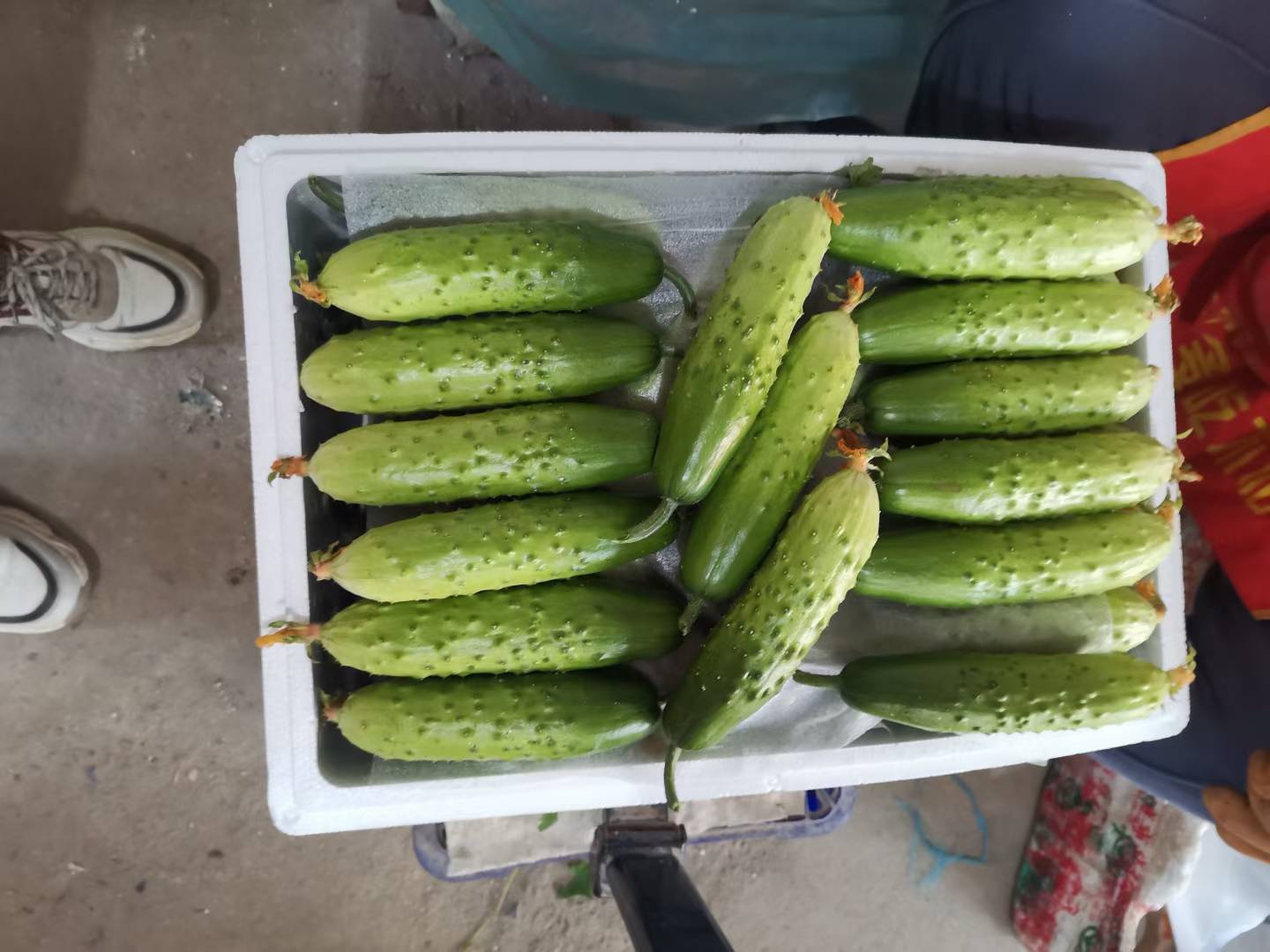 旱黄瓜沙拉摆盘图