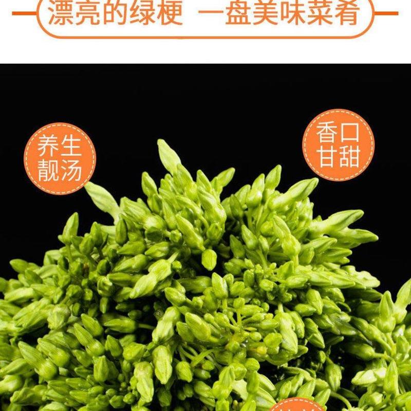 冷冻夜兰花绿珍珠酒店特色食材厂家直销量大优惠