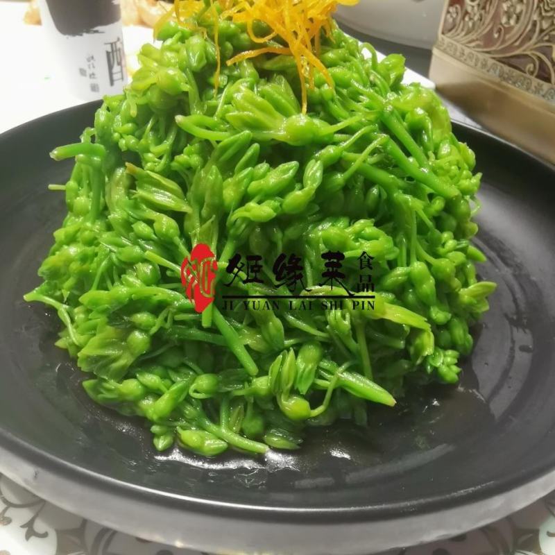 冷冻夜兰花绿珍珠酒店特色食材厂家直销量大优惠