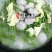 冷冻夜兰花绿珍珠酒店特色食材厂家直销量大优惠
