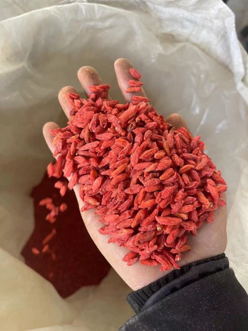诺木洪小颗粒精选枸杞~产地批发