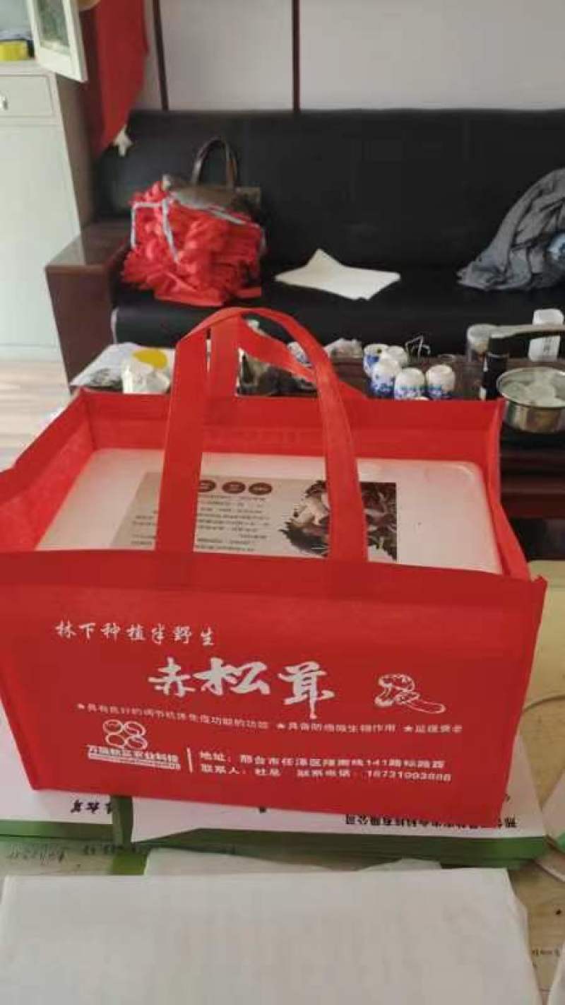 赤松茸