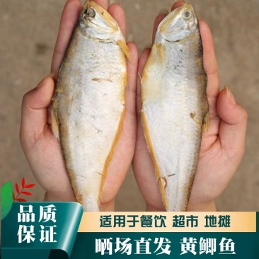 黄鲫鱼干油口鱼毛口鱼黄夹子马口鱼海鲜干货