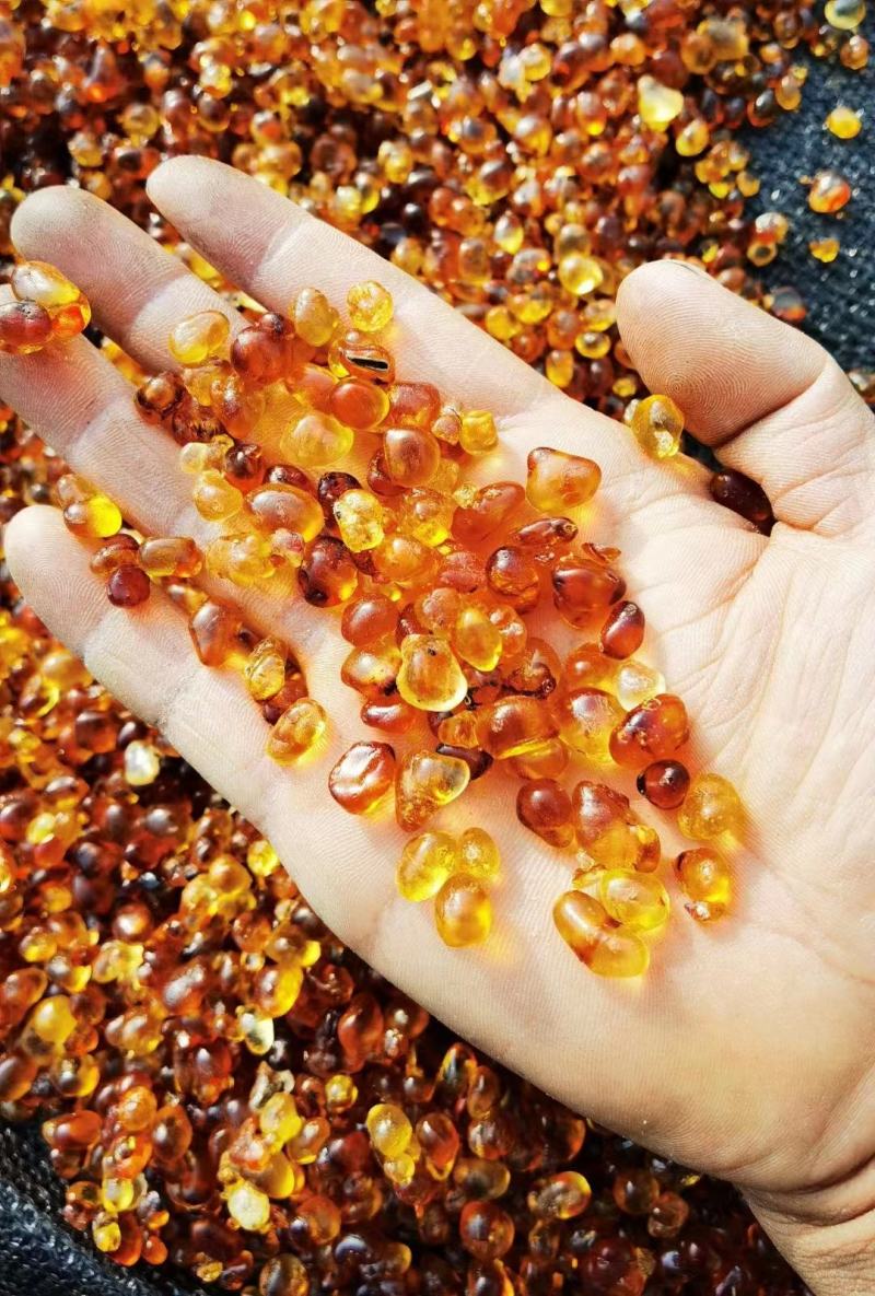 【推荐】桃胶黄红水洗桃胶产地一手货源批发零售量大价优