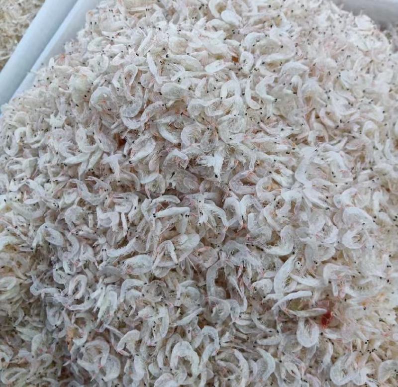 【虾皮】山东沾化，原产地直销，一手货源，可零售，可批发