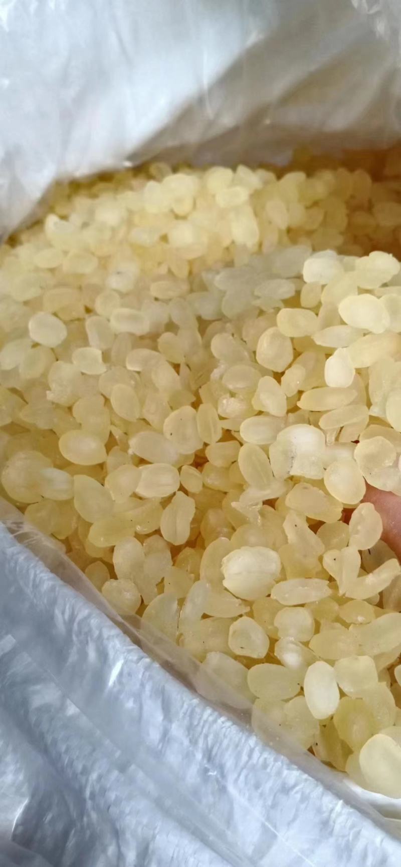【推荐】皂角米产地一手货源批发零售量大价优