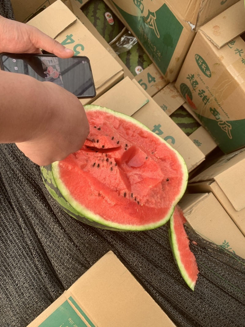 老挝精品甜王