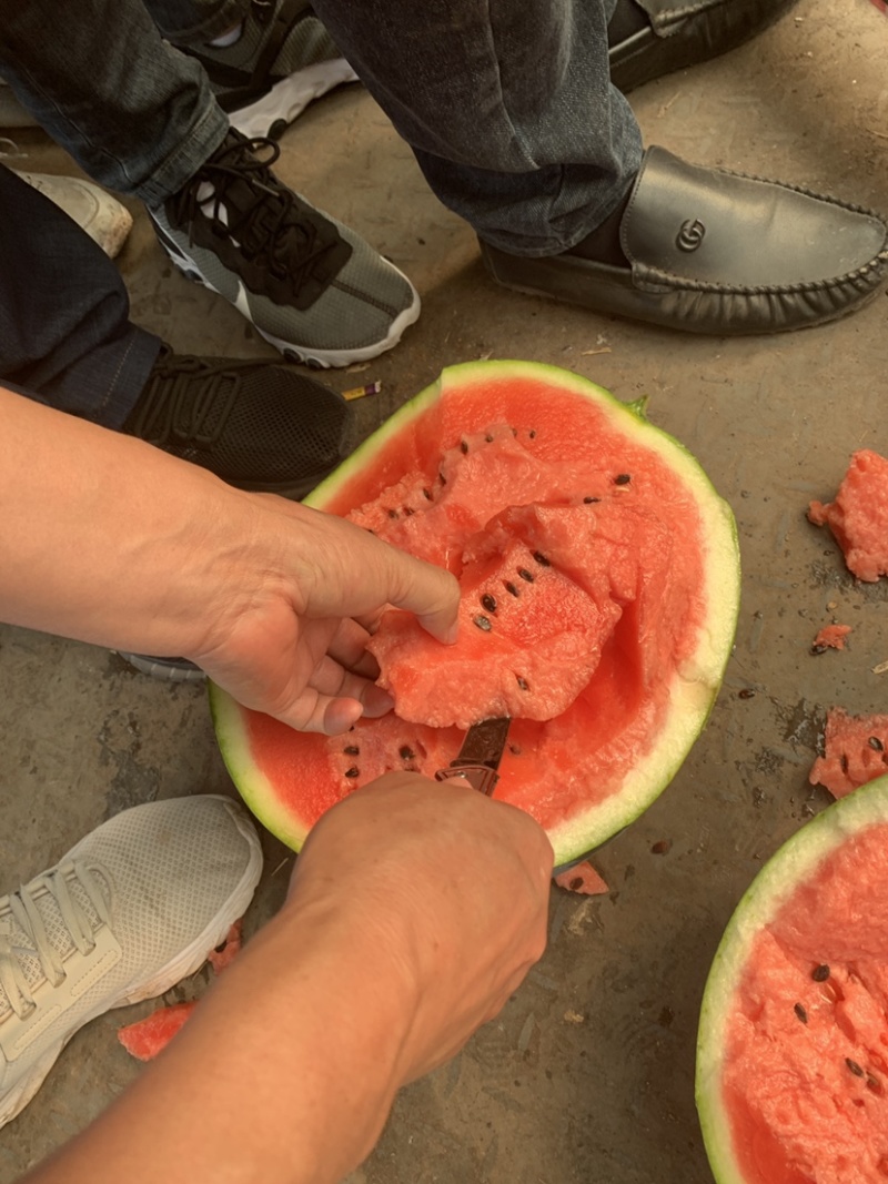 老挝精品甜王