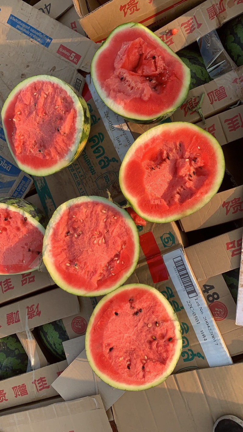 老挝精品甜王
