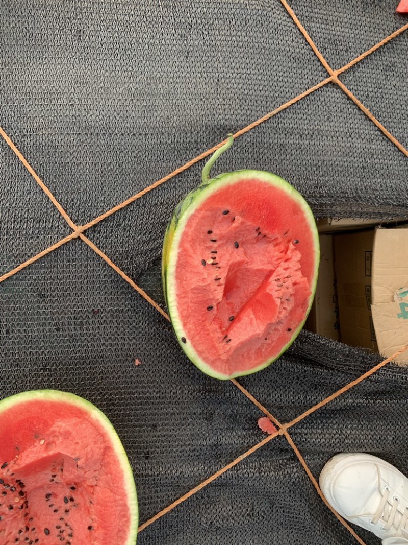 老挝精品甜王
