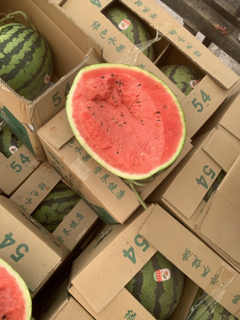老挝精品甜王