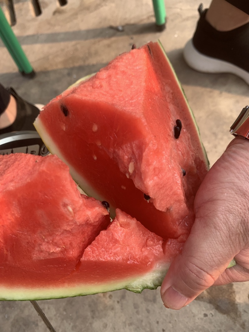 老挝精品甜王