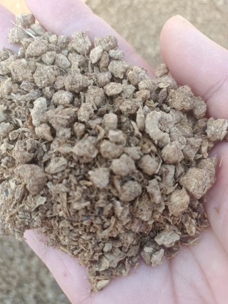 蘑菇菌渣:可以直接喂牛羊，蛋白11，氨基酸8，脂肪4