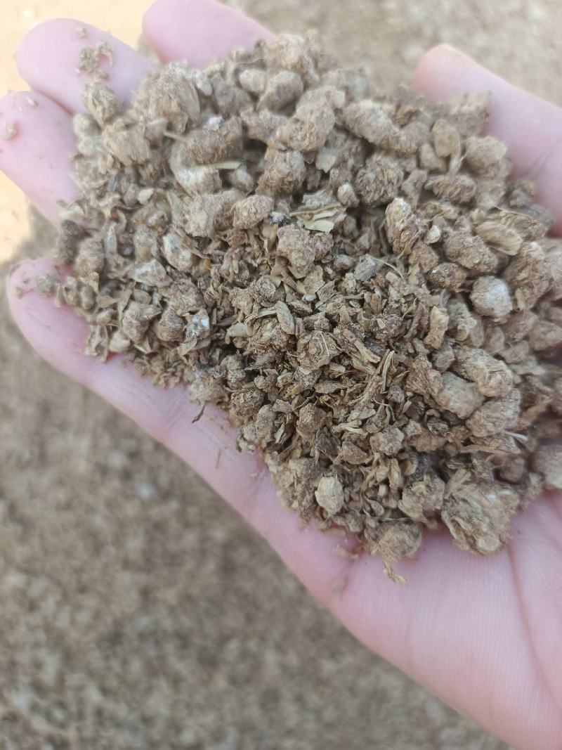 蘑菇菌渣:可以直接喂牛羊，蛋白11，氨基酸8，脂肪4