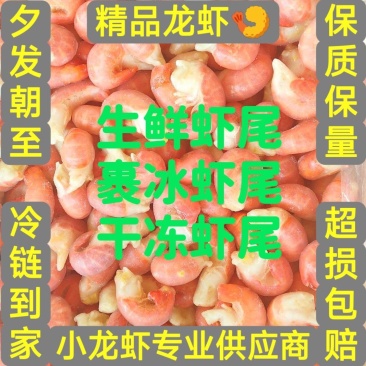 湖北潜江小龙虾冻虾尾单冻虾尾鲜冻虾尾裹冰虾尾虾仁虾球