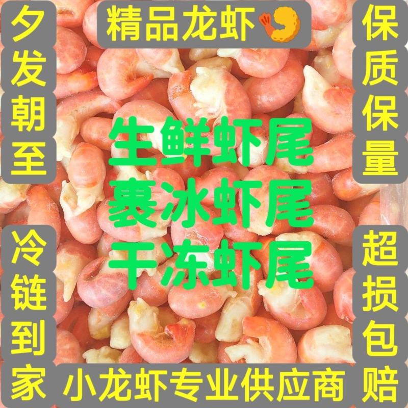 湖北潜江小龙虾冻虾尾单冻虾尾鲜冻虾尾裹冰虾尾虾仁虾球