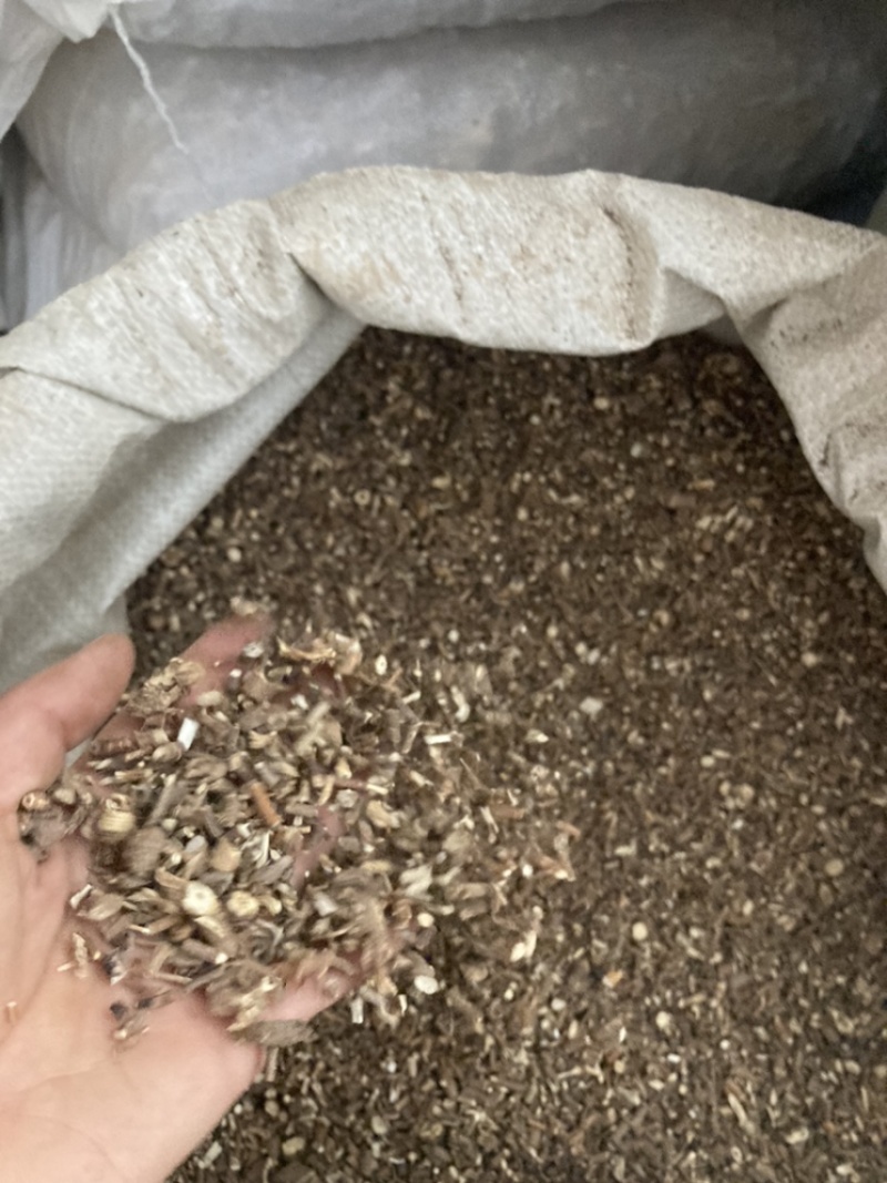 柴胡北柴胡山西柴胡舜王药业长期供应各种中药