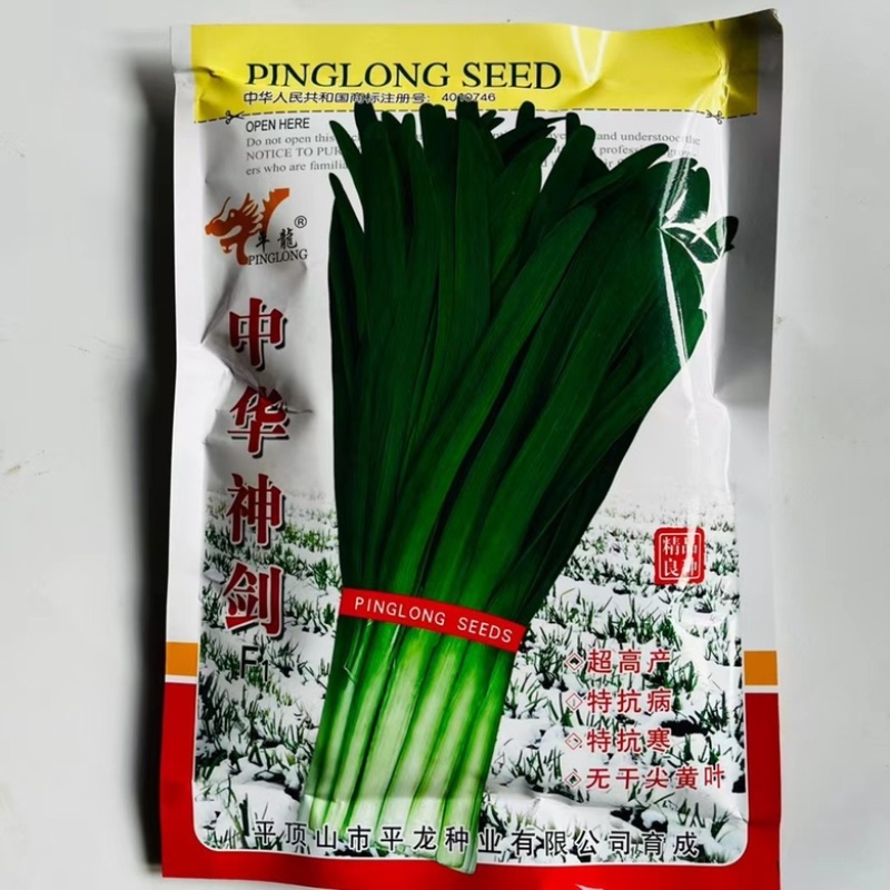 韭菜种子中华神剑韭菜品种，不休眠，深绿色韭菜品种种子