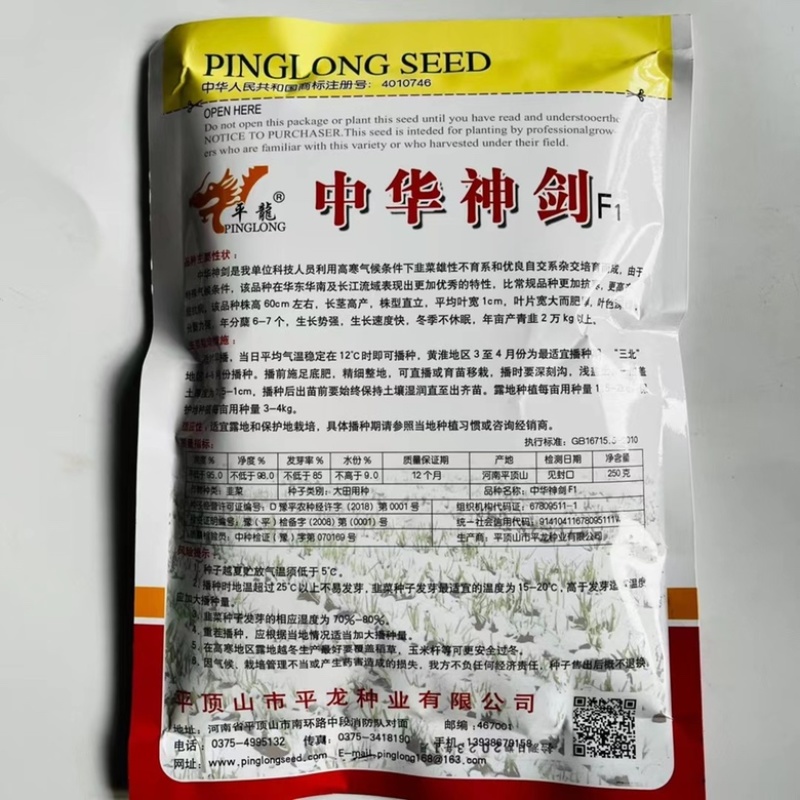 韭菜种子中华神剑韭菜品种，不休眠，深绿色韭菜品种种子