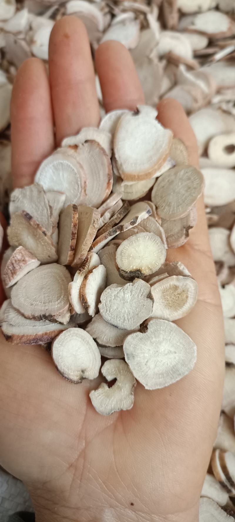 白芍，无硫白芍，产地山东，货源充足，全国发货