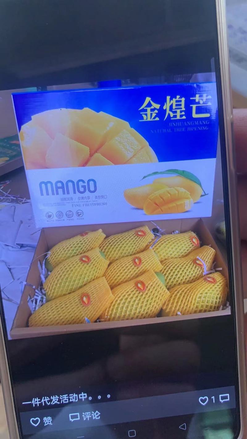 正宗海南金煌芒3.2一斤，5000斤起，整车，通货