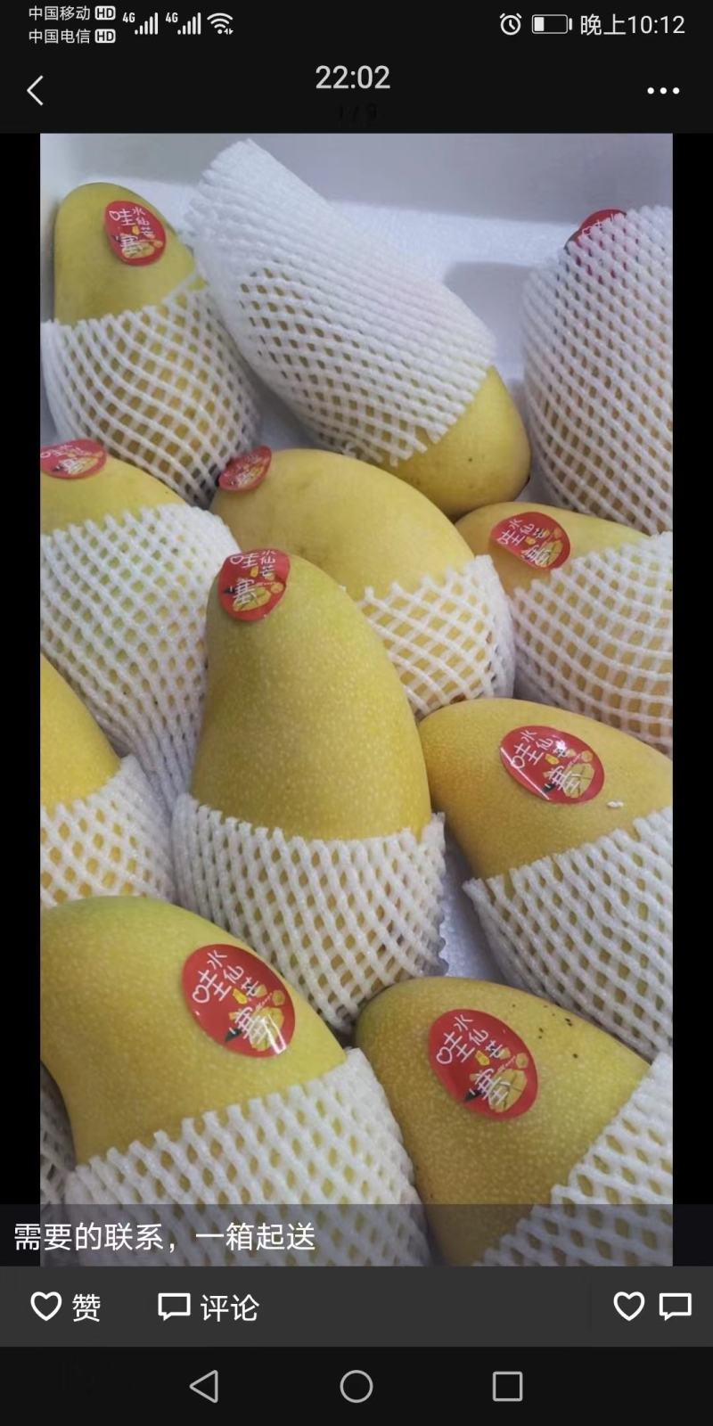 正宗海南金煌芒3.2一斤，5000斤起，整车，通货
