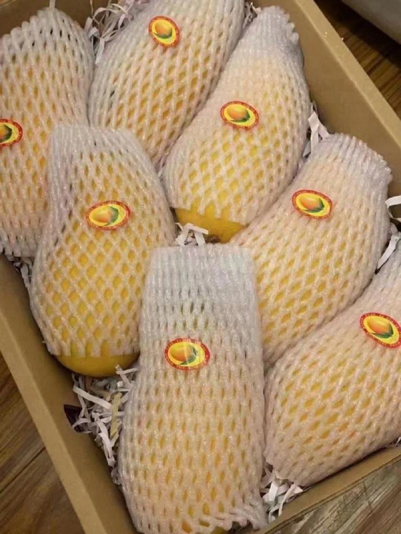 正宗海南金煌芒3.2一斤，5000斤起，整车，通货