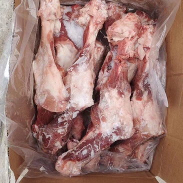 凯佳后腿骨