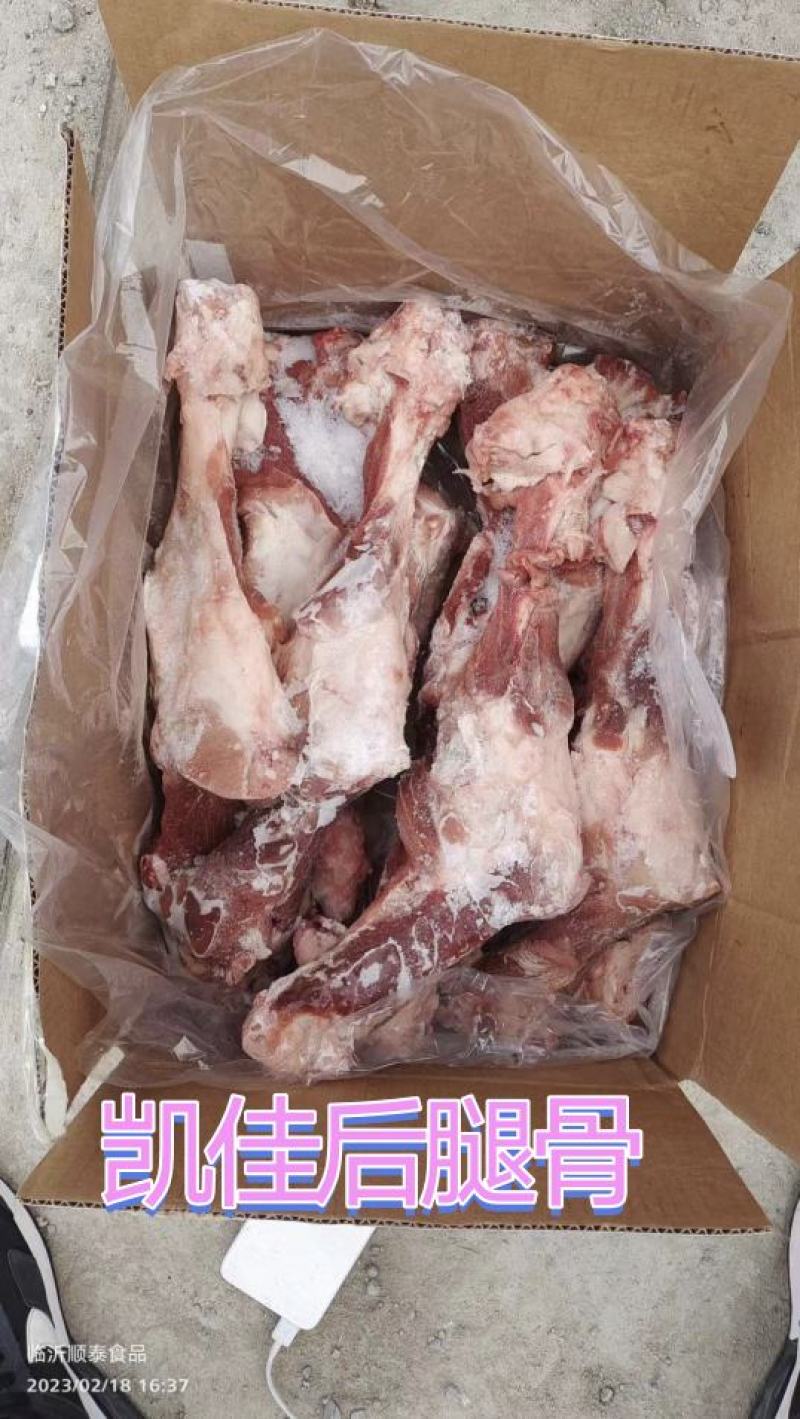 凯佳后腿骨