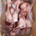 凯佳后腿骨