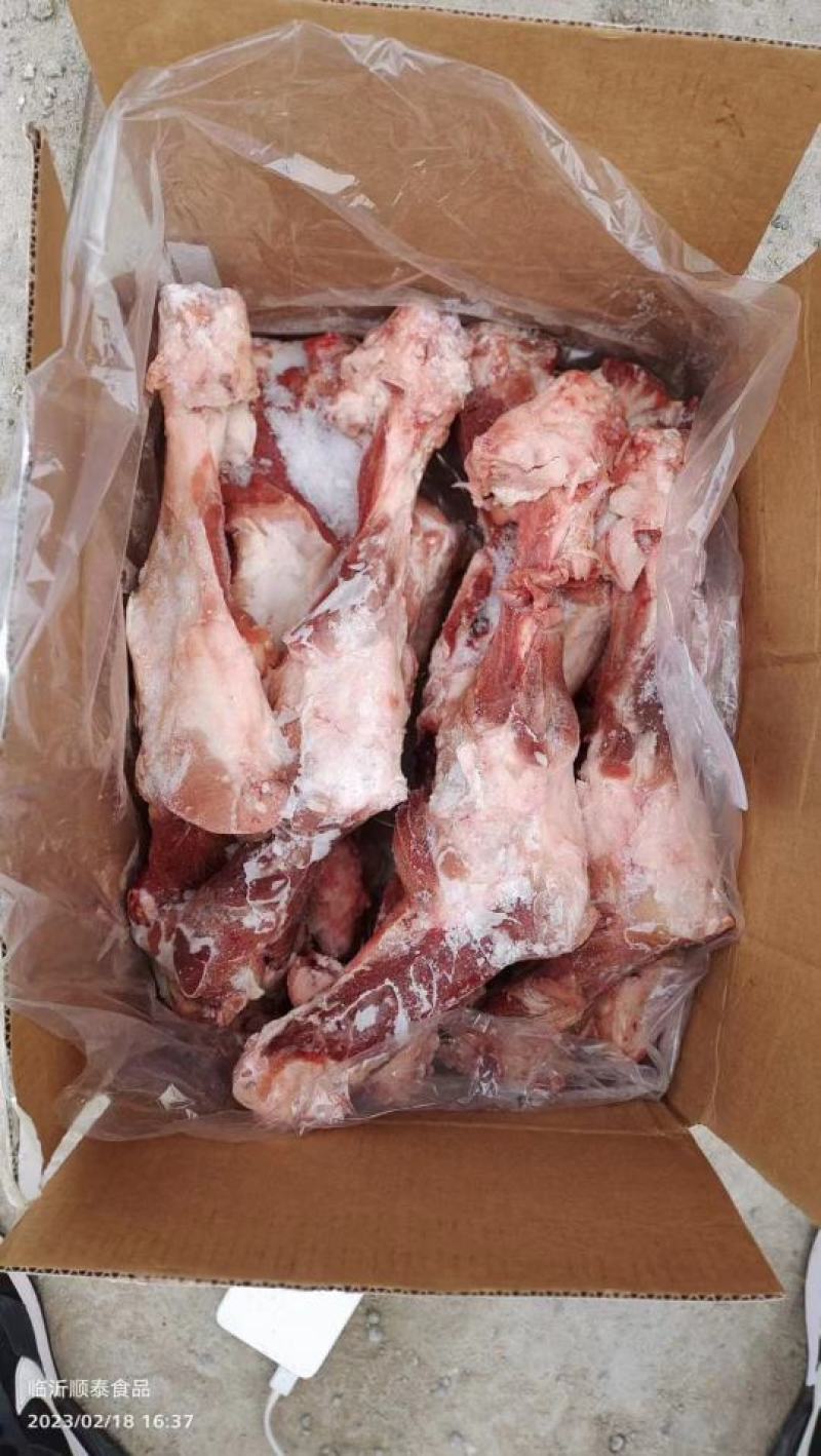 凯佳后腿骨