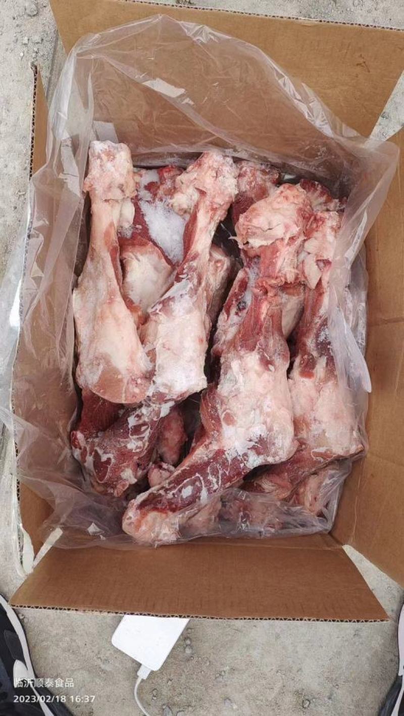 凯佳后腿骨