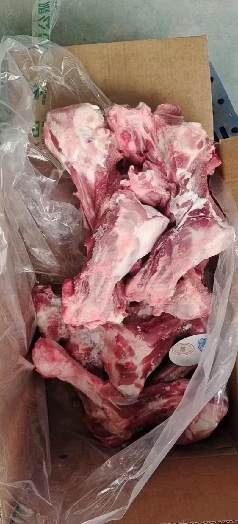 国产前腿骨