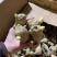 姜种催芽姜种产量高提供种植技术，支持全国发货