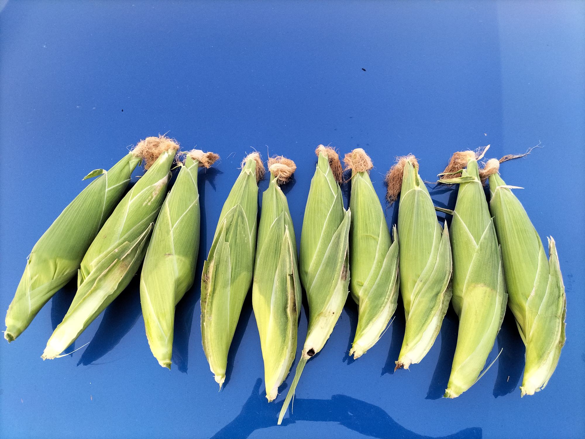 甜玉米与儿童健康饮食